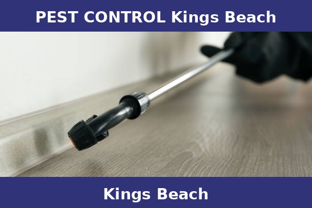 PEST CONTROL Kings Beach